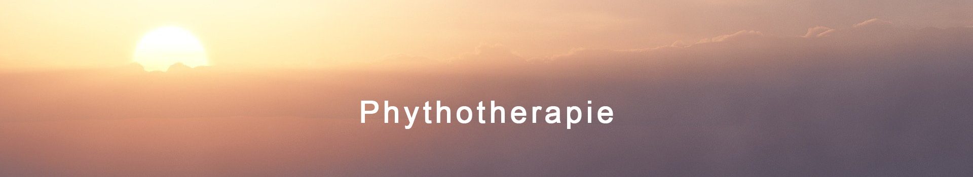 Phythotherapie-Headerbild
